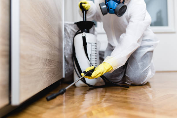 Best Mosquito Control Services  in Manhattan, KS