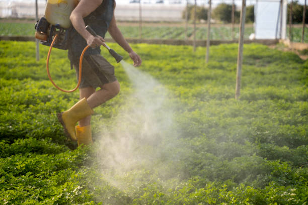 Best Insect Control  in Manhattan, KS