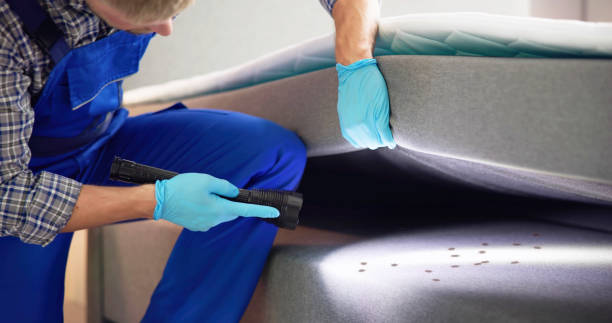 Best Residential Pest Control  in Manhattan, KS