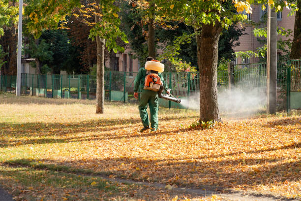 Best Commercial Pest Control Services  in Manhattan, KS