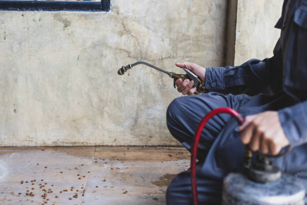 Best Pest Inspection Near Me  in Manhattan, KS
